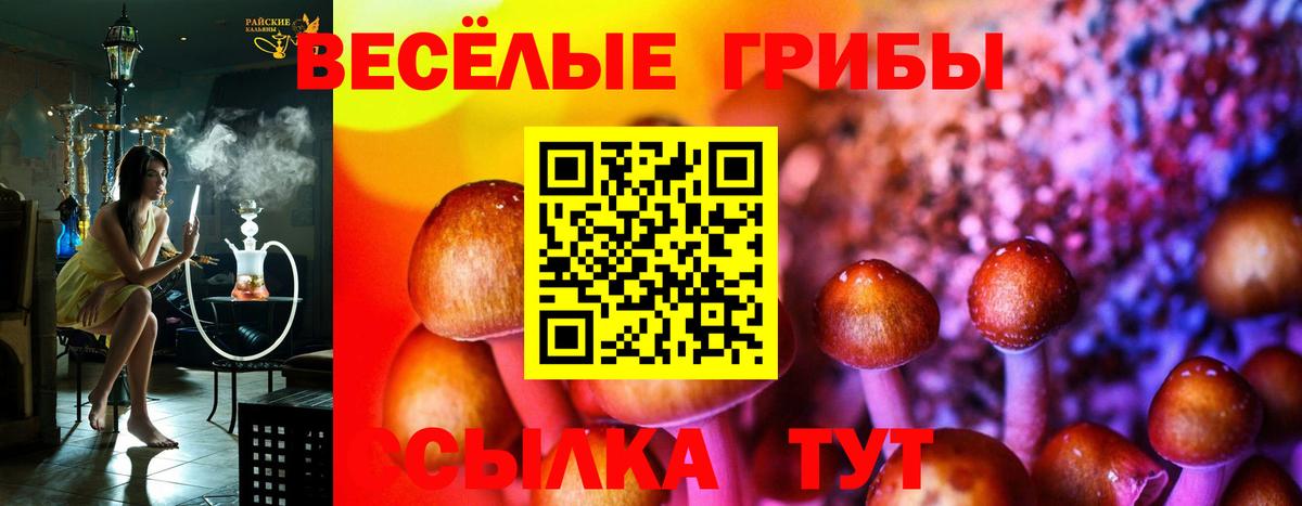 Галлюциногенные грибы MAGIC MUSHROOMS  Вход с VPN  Бугуруслан  Галлюциногенные грибы Psilocybe 